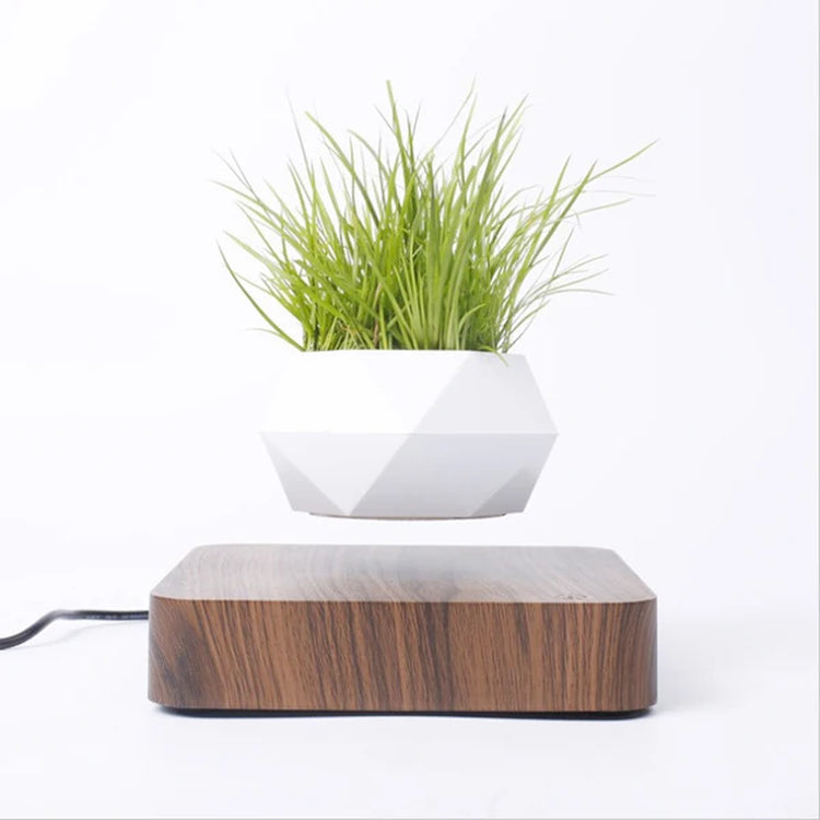 Floating Levitating Bonsai Pot with Magnetic Suspension for Home or Office Desk Decor