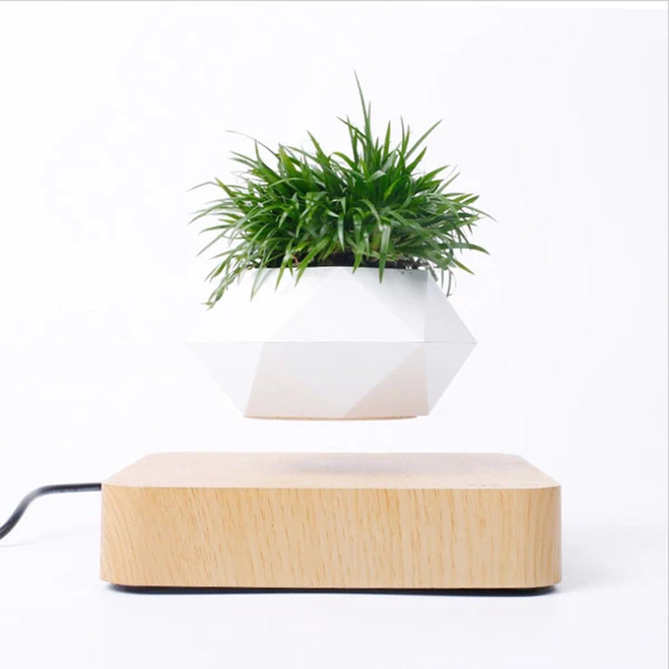 Floating Levitating Bonsai Pot with Magnetic Suspension for Home or Office Desk Decor