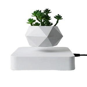 Floating Levitating Bonsai Pot with Magnetic Suspension for Home or Office Desk Decor