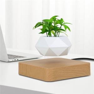 Floating Levitating Bonsai Pot with Magnetic Suspension for Home or Office Desk Decor