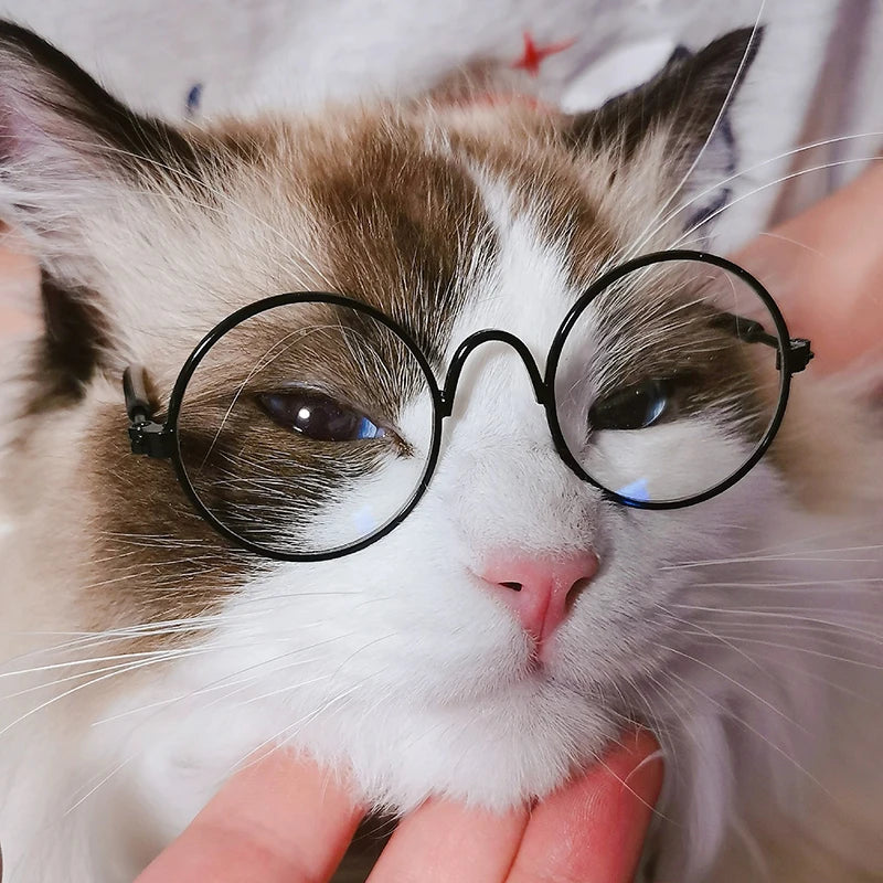 Vintage round Cat Sunglasses Reflection Eyewear Glasses Pet Products for Dog Kitten Dog Cat Accessories for Small Dogs